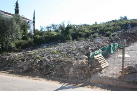 Pogled na plac i okolno rastinje pored puta. - image 7