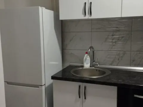 Rent, one bedroom apartment, 50m², Podbara, Novi Sad Sve Podlokacije - image 11