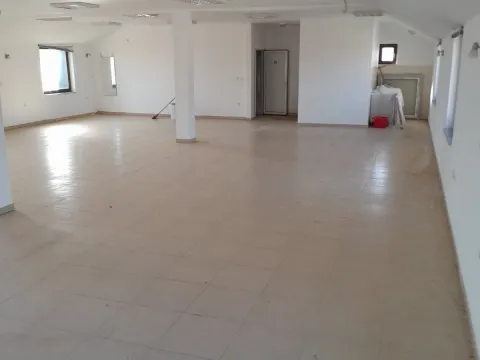 Sale, office space, 860m², Veternik, Novi Sad Sve Podlokacije - image 5
