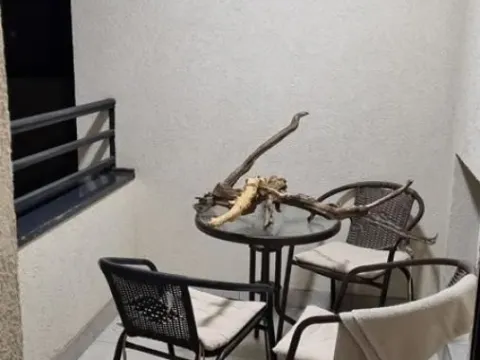 Rent, two bedroom apartment, 43m², Crveni Krst, Beograd - image 11