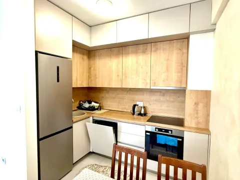 Izdavanje, jednosoban stan, 49m², Zabjelo, Podgorica - image 4