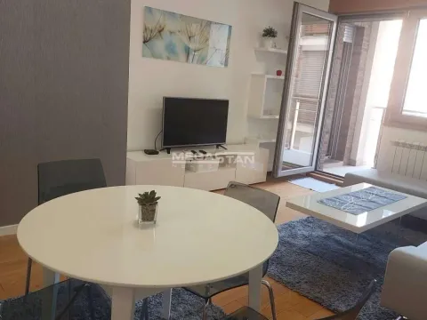 Izdavanje, dvosoban stan, 60m², Novi Beograd Sve Podlokacije, Beograd - image 14