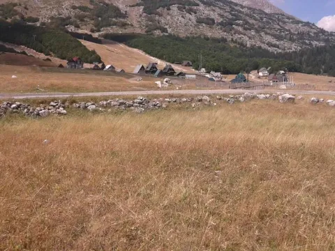 Zemljište in Motički gaj