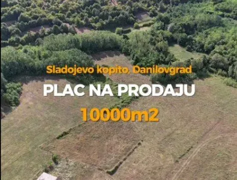 Sale, land lot, 103147m², Sladojevo Kopito, Danilovgrad - image 2