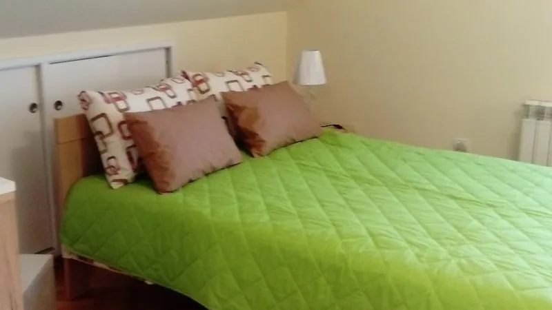 Izdavanje, dvosoban stan, 49m², Dedinje Sve Podlokacije, Beograd