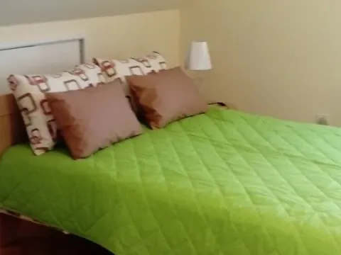 Izdavanje, dvosoban stan, 49m², Dedinje Sve Podlokacije, Beograd - image 2