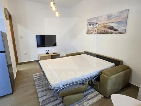 Rent, studio apartment, 25m², Malo Brdo, Podgorica - image 4