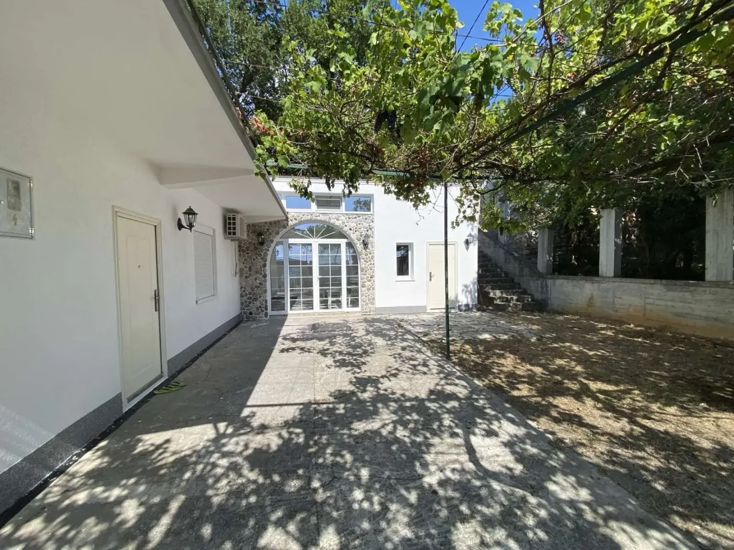 Dvorište ispred kuće sa betonskom stazom i vinovom lozom.