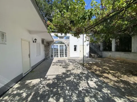Dvorište ispred kuće sa betonskom stazom i vinovom lozom. - image 12