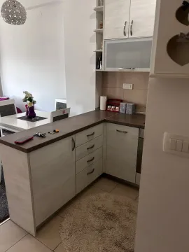 Rent, one bedroom apartment, 59m², Central Point, Podgorica - image 721