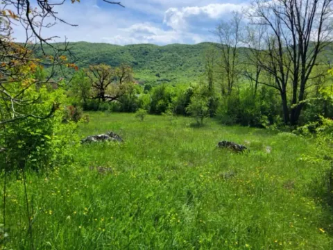 Prodaja, plac, 160000m², Bršno, Nikšić - image 6