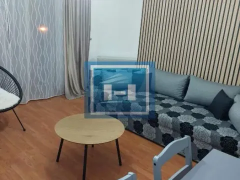 Izdavanje, jednosoban stan, 41m², Paraćin, Srbija - image 10