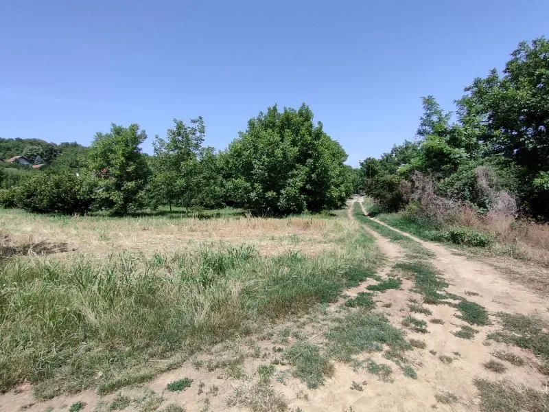 Prodaja, plac, 6000m², Paragovo, Petrovaradin