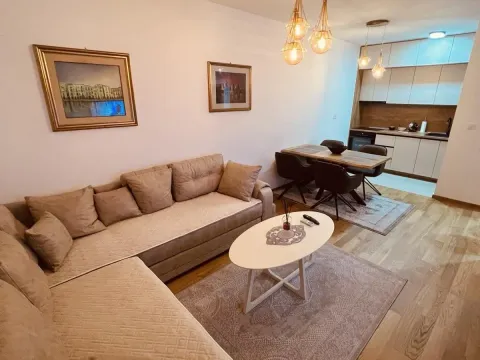 Izdavanje, jednosoban stan, 45m², City Kvart, Podgorica - image 12