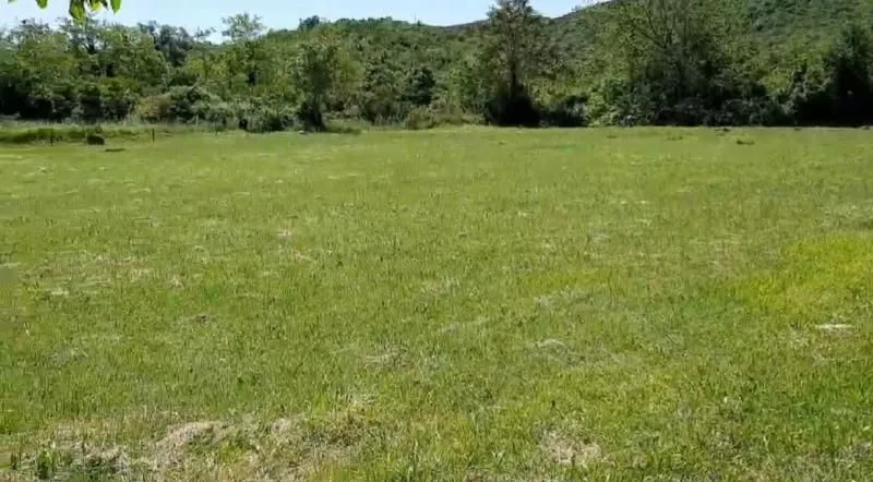 Prodaja, plac, 4300m², Kotor, Crna Gora