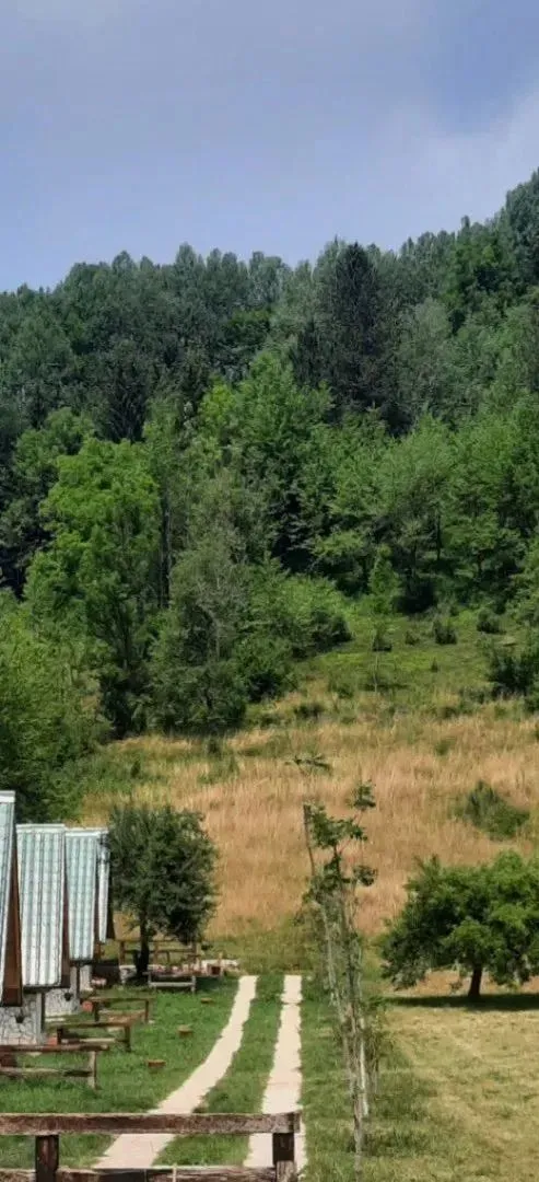 Prodaja, plac, 1416m², Kolašin, Crna Gora