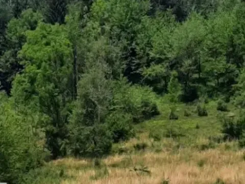 Prodaja, plac, 1416m², Kolašin, Crna Gora - image 2