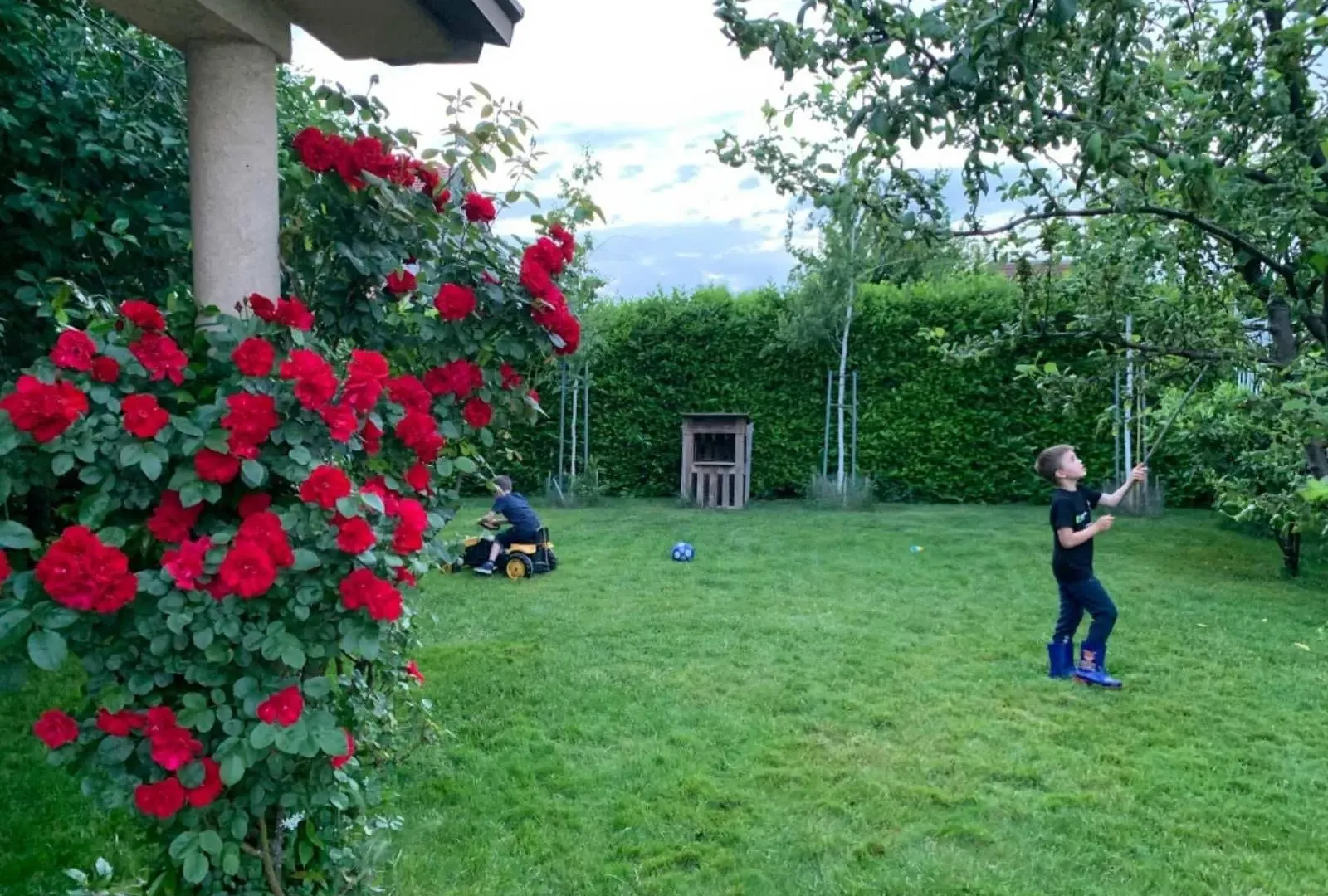 Izdavanje, kuća, 240m², Donja Gorica, Podgorica
