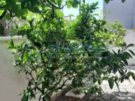 Prodaja, kuća, 199m², Utjeha, Bar - image 33