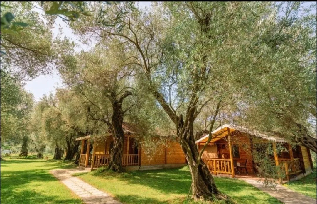 Izdavanje, jednosoban stan, 45m², Utjeha, Bar