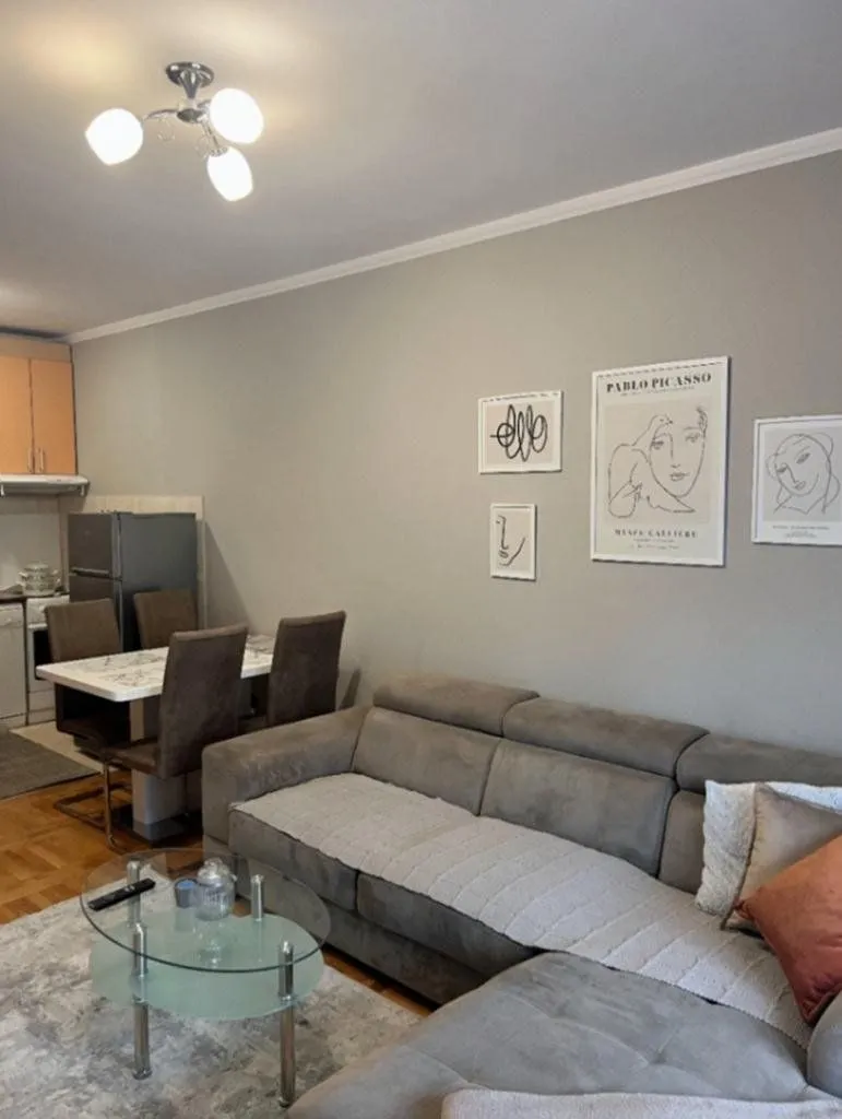 Rent, one bedroom apartment, 47m², Preko Morače, Podgorica