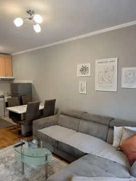 Rent, one bedroom apartment, 47m², Preko Morače, Podgorica - image 2