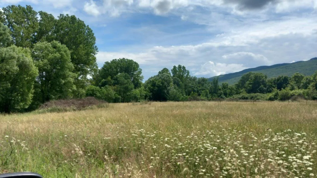 Prodaja, plac, 8500m², Bandići, Danilovgrad