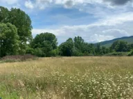 Sale, land lot, 8500m², Bandići, Danilovgrad - image 2