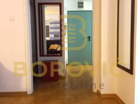 Izdavanje, dvosoban stan, 56m², Novi Beograd Blok 45, Novi Beograd Sve Podlokacije - image 9