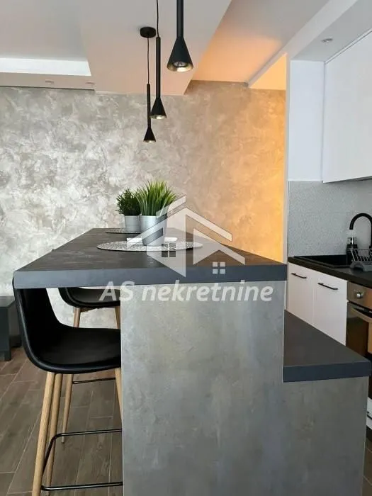 Izdavanje, dvosoban stan, 59m², Novi Beograd Blok 22, Novi Beograd Sve Podlokacije