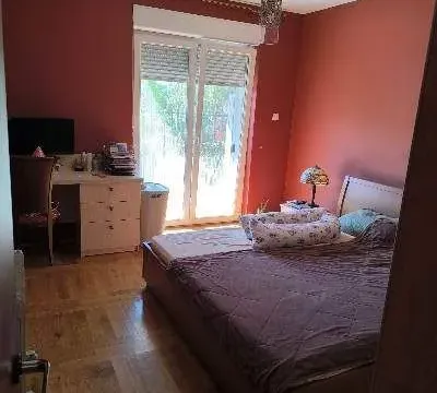 Prodaja, dvosoban stan, 66m², Vezirov Most, Podgorica - image 13
