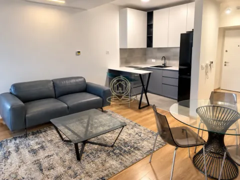 Izdavanje, dvosoban stan, 49m², Centar, Novi Sad - image 2