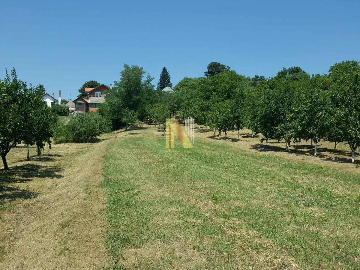 Prodaja, kuća, 65m², Čortanovci, Inđija
