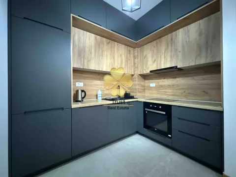 Izdavanje, jednosoban stan, 50m², City Kvart, Podgorica - image 4