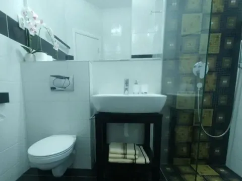 Izdavanje, dvosoban stan, 50m², Stari Grad, Beograd - image 8