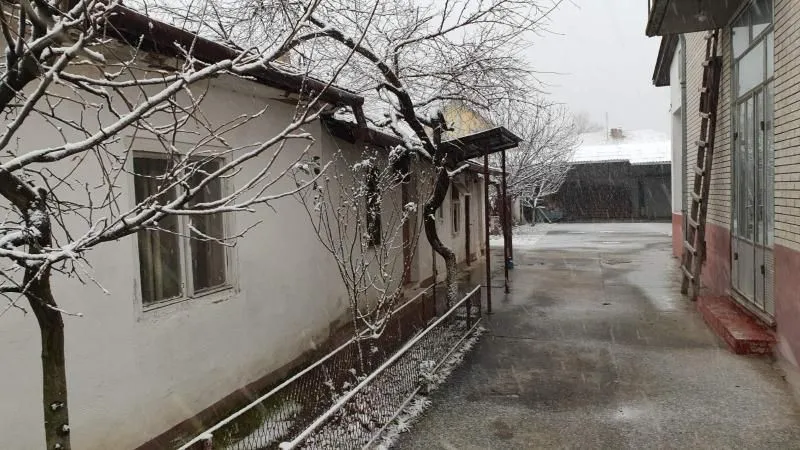 Sale, house, 83m², Telep, Novi Sad Sve Podlokacije