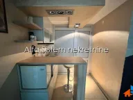 Izdavanje, stan, 130m², Botanička Bašta, Palilula Sve Podlokacije - image 9