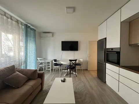 Rent, two bedroom apartment, 37m², Dorćol Sve Podlokacije, Beograd - image 1