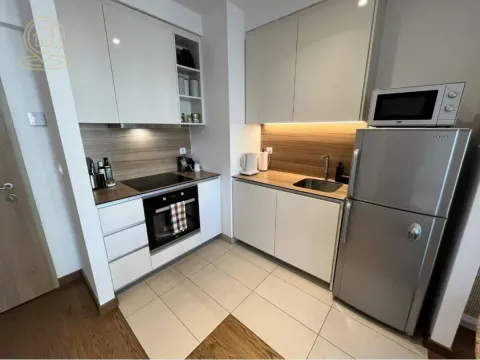 Izdavanje, dvosoban stan, 55m², Savski Venac, Beograd - image 6