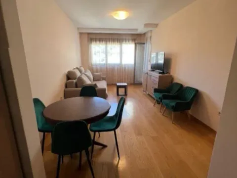 Izdavanje, jednosoban stan, 46m², Preko Morače, Podgorica - image 10