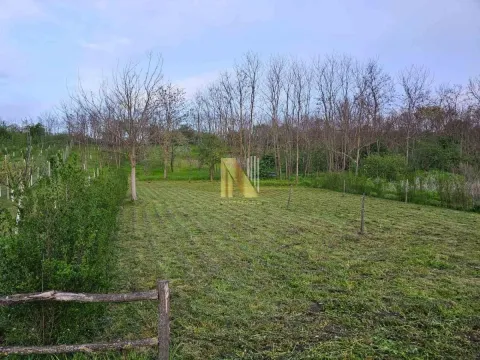 Prodaja, plac, 1700m², Irig, Srbija - image 4