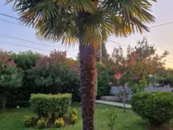 Izdavanje, kuća, 94m², Murtovina, Podgorica - image 12