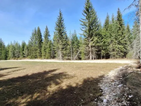 Prodaja, plac, 6750m², Podgora, Žabljak - image 4