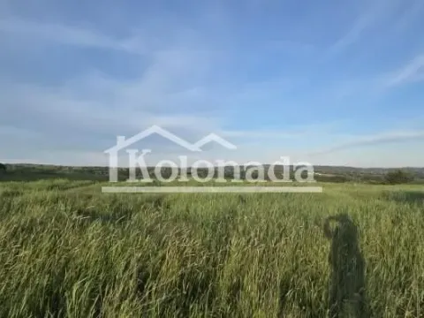 Sale, land lot, 13300m², Djurinci, Sopot - image 9