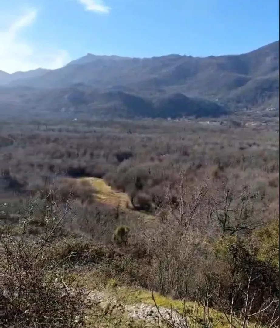Prodaja, plac, 165000m², Cetinje, Crna Gora