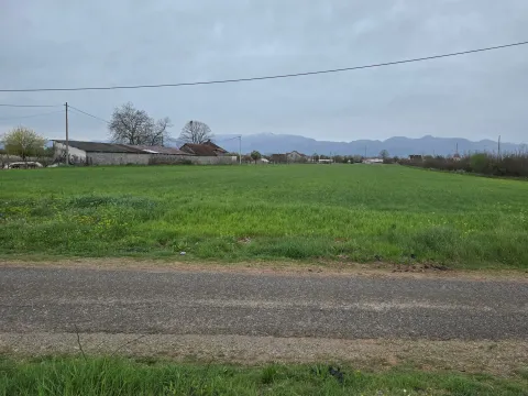 Prodaja, plac, 9100m², Mataguži, Podgorica - image 2