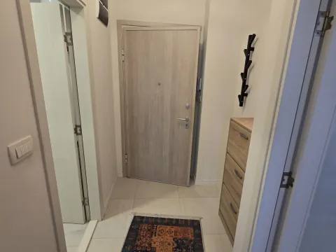 Prodaja, jednosoban stan, 46m², Central Point, Podgorica - image 9