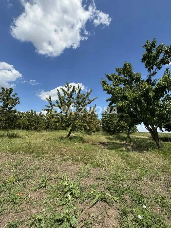 Prodaja, plac, 28700m², Novi Slankamen, Inđija