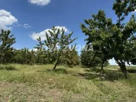 Sale, land lot, 287m², Novi Slankamen, Inđija - image 13