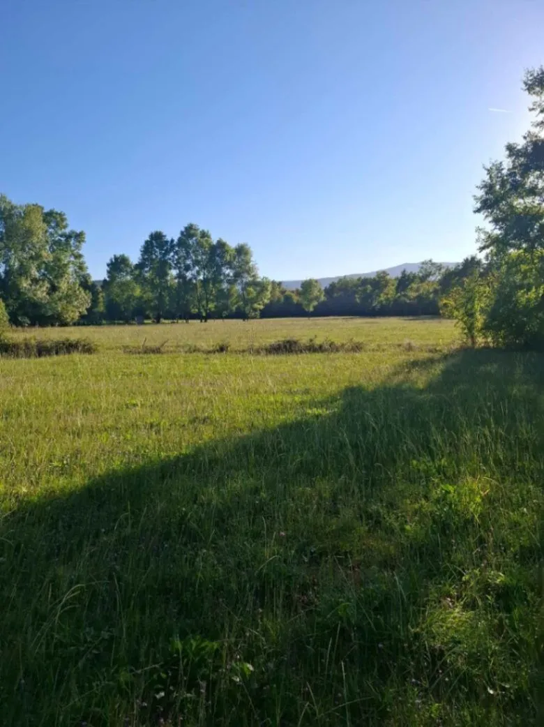 Sale, land lot, 2881m², Begovina, Danilovgrad